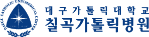 대가대칠곡병원 한글 가로형 이미지